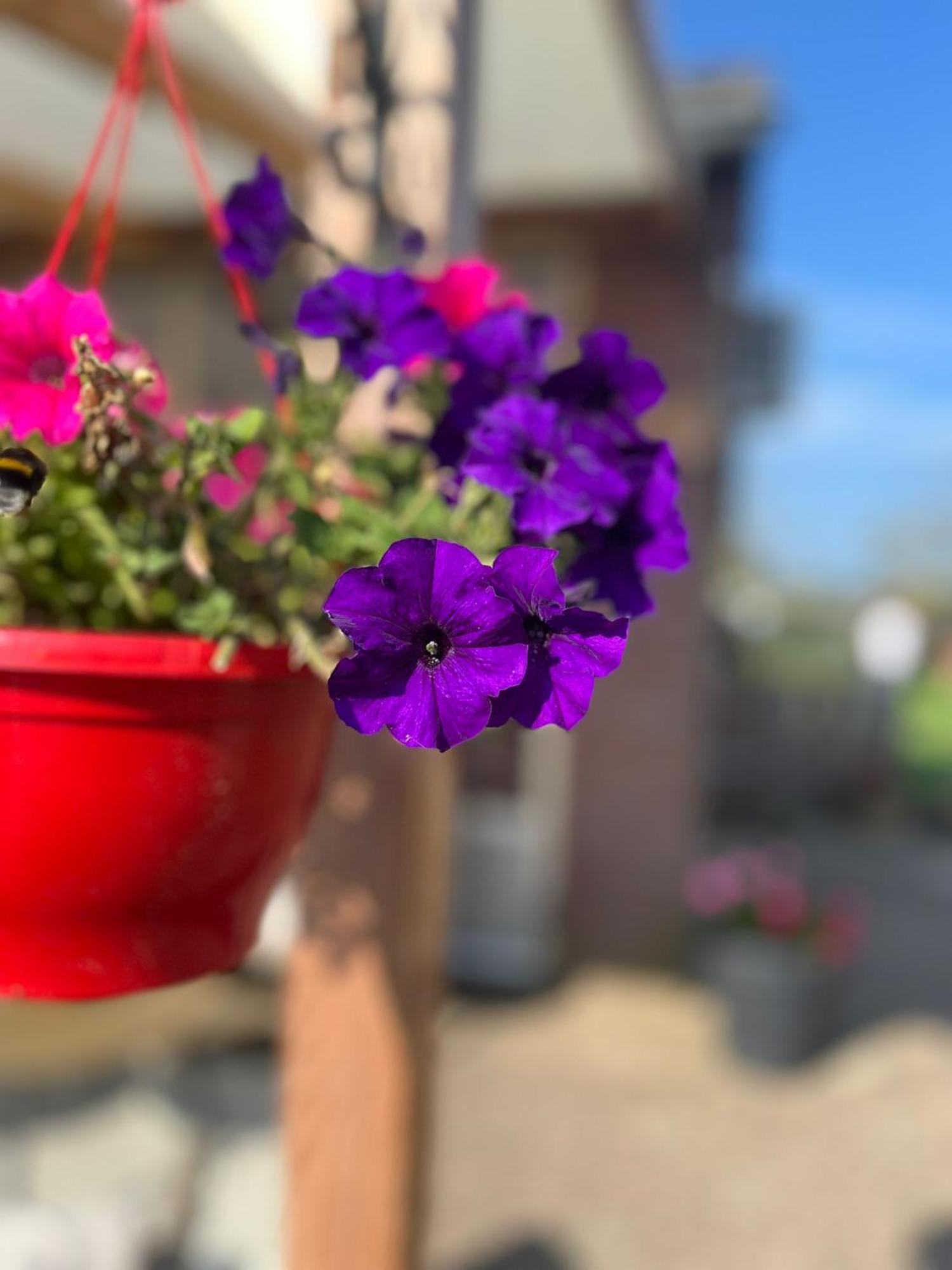 Het Gelders Buitenleven Overasselt Buitenkant foto