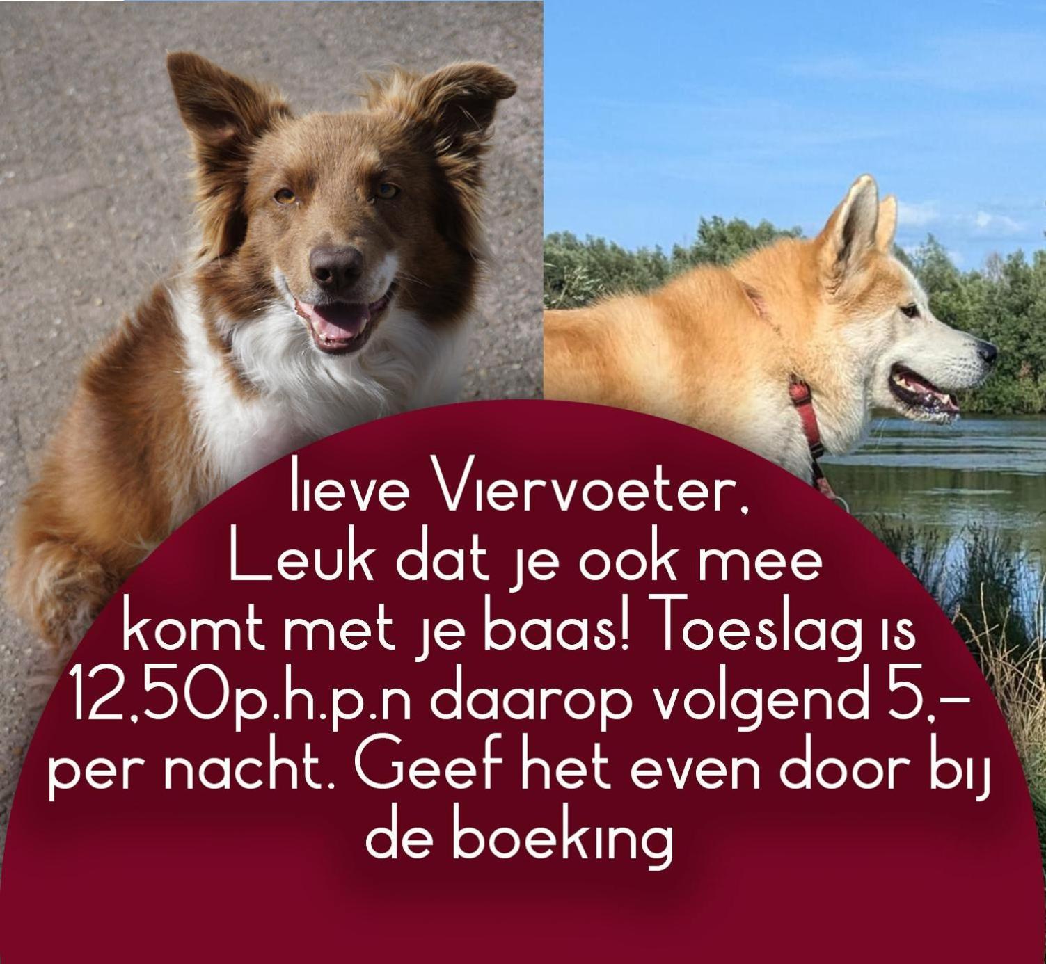 Het Gelders Buitenleven Overasselt Buitenkant foto